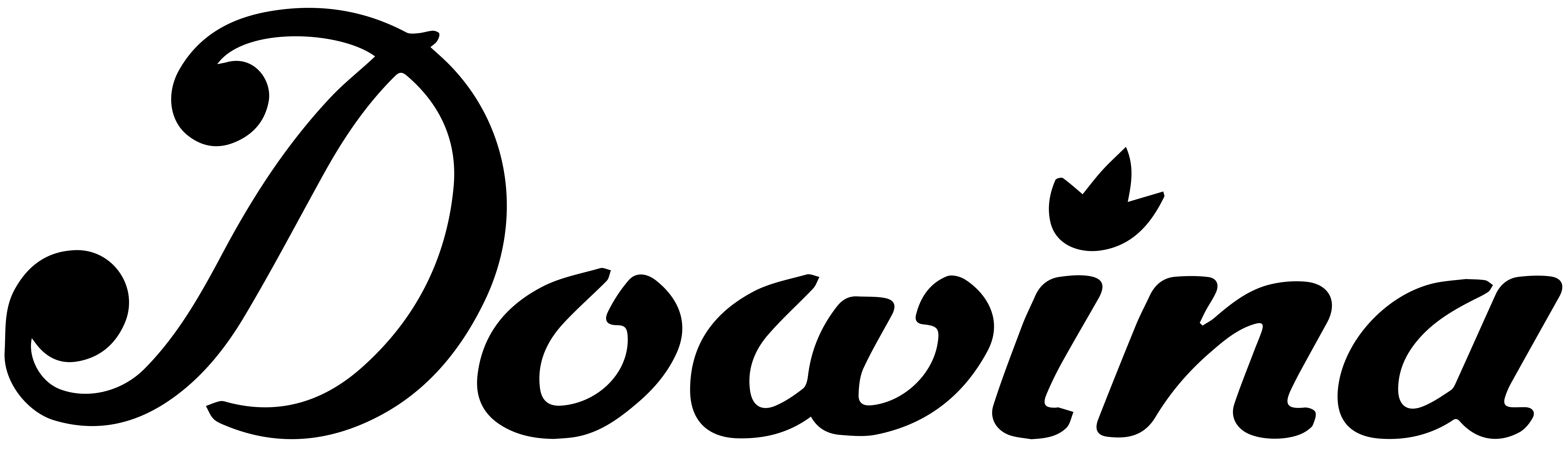 Dowina Guitars